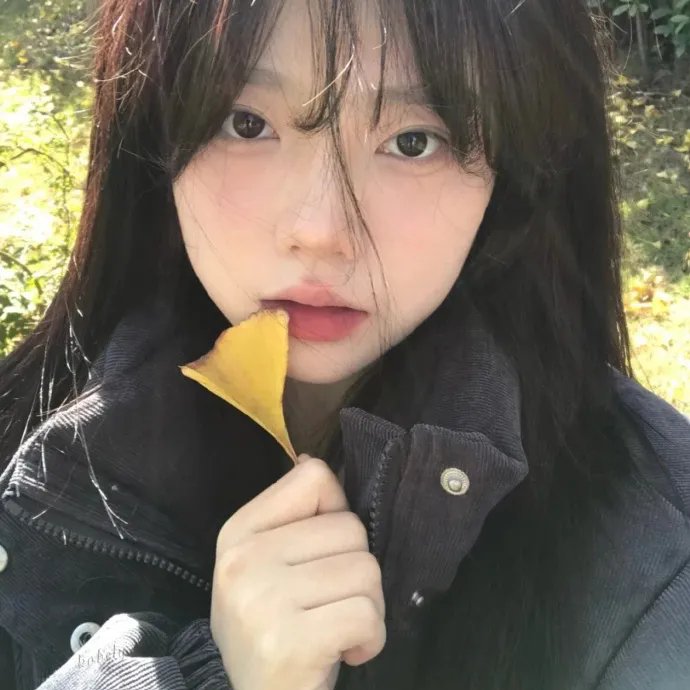 洗衣房的奇妙世界 海报