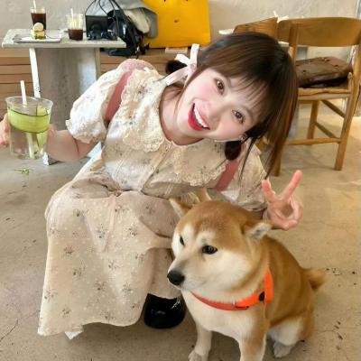 棉尾兔 海报